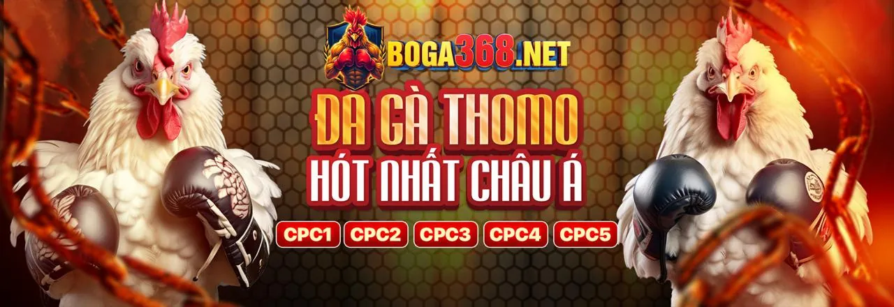 Sân đấu gà chọi kịch tính tại f8betta2